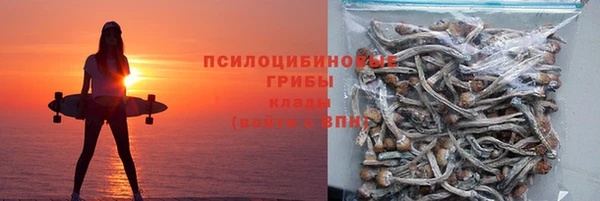 таблы Белокуриха