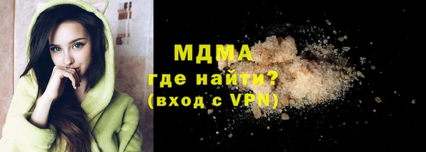 spice Богородицк