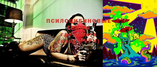 винт Новокубанск