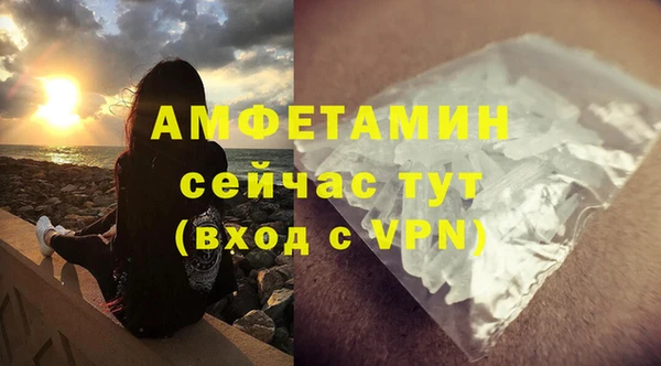 spice Богородицк
