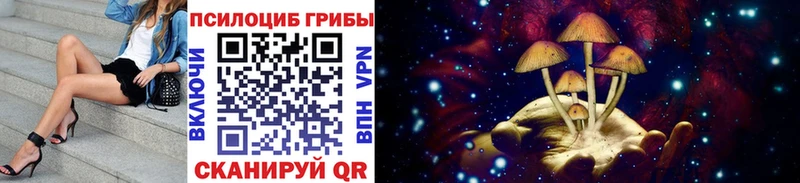 Купить где  Бирск  Галлюциногенные грибы MAGIC MUSHROOMS 